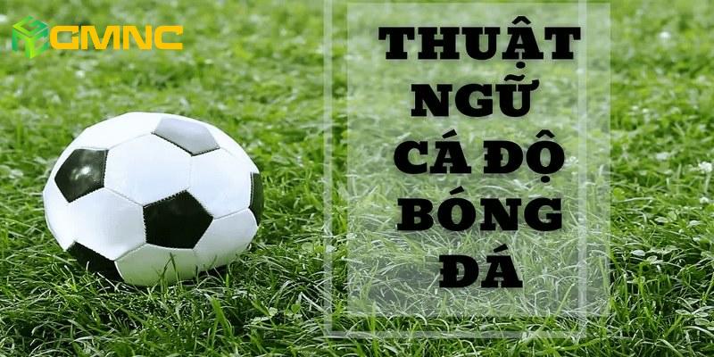 Các kèo cược cũng được sử dụng nhiều thuật ngữ cá độ bóng đá