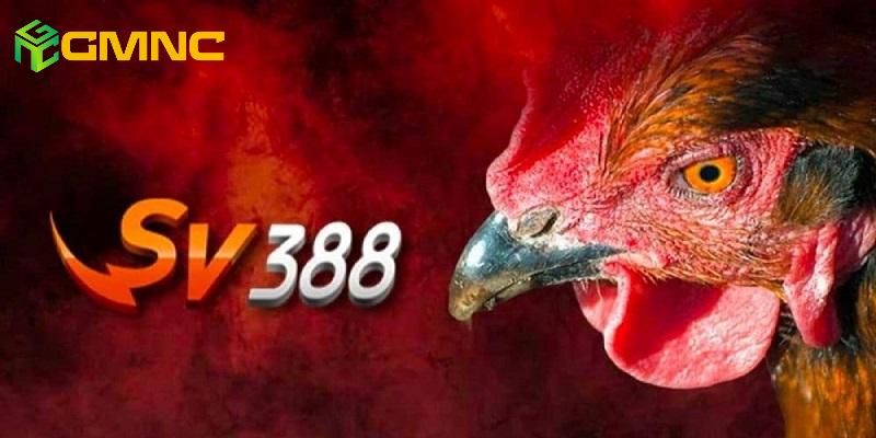 SV388 trang nhà cái đá gà thomo hàng đầu châu Á