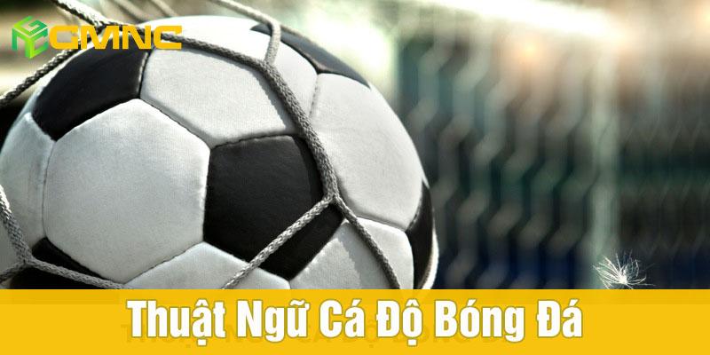 Top thuật ngữ cá độ bóng đá được sử dụng phổ biến